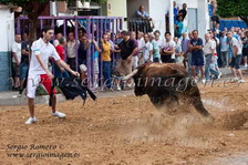 Bous Albalat dels Sorells (02 Septiembre 2011)