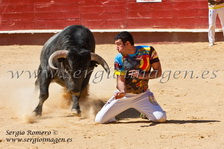 XVII Concurso Nacional Recortes Valencia (18 Marzo 2012)